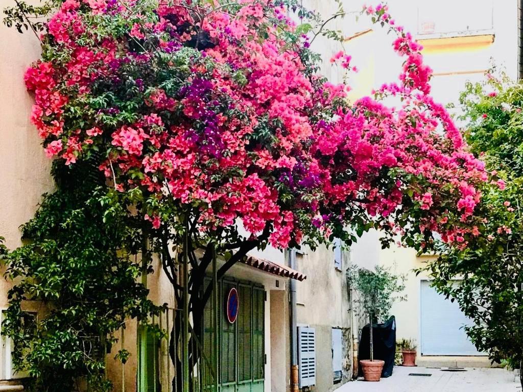 Le Caillou A La Ponche St Tropez Apartment Saint Tropez Bagian luar foto